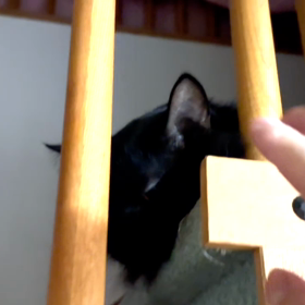 いつもの様に遊んでくれなかったの画像