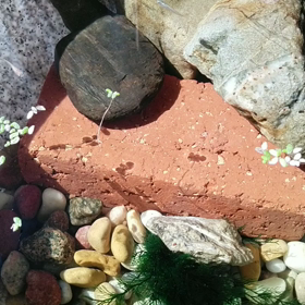 抗がん剤EC 4クール　一番楽でしたの画像