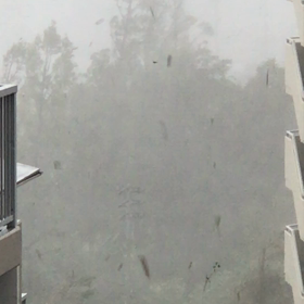 台風、舐めてましたの画像