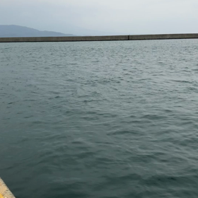 自粛は退屈ですねの画像