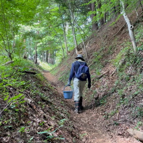 ＊日常のこと＊の画像