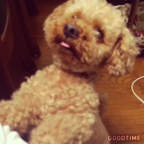 ^_^;ようこそ新居への画像