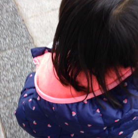 鳩と遊びたいんだけどの画像