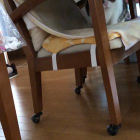 やっぱり思った以上に年寄りなのかも…史上初雷デール！の画像