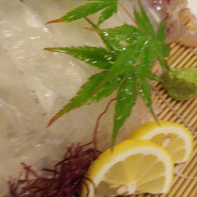 生きてる‼️の画像