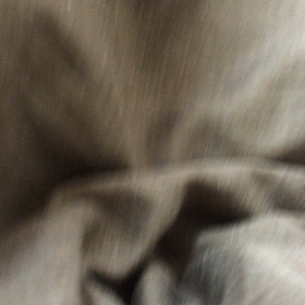 お休み2日目の画像