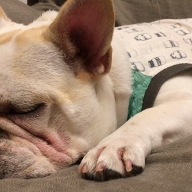 レム睡眠の画像