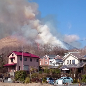 大室山山焼き《動画》の画像