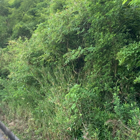 静かに見てください　　　何かの声が　　見える物がの画像