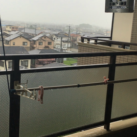 凄い雨降ってきたしΣ⊙▃⊙川の画像