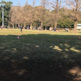 10色リレー 折り返し付近④の画像