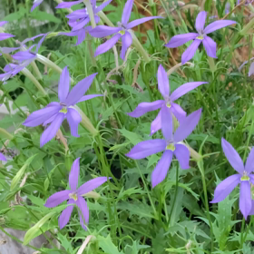 介護記録８４（発狂）の画像