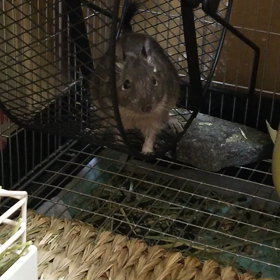 宝物だよ❤️の画像