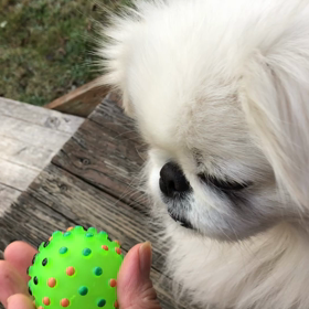 お庭であぼぼ〜(あそぼ〜^^;)の画像