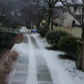 きょうの散歩道の画像