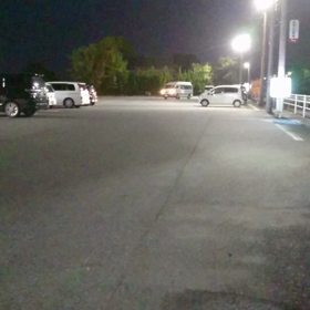 swimming last dayの画像