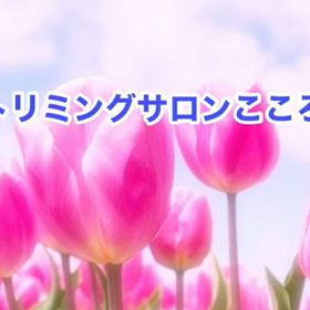 4月　〜スライドショー〜の画像