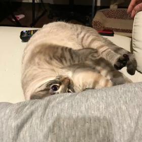 定期更新の画像