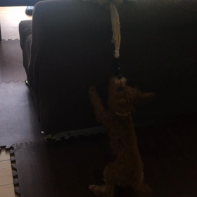 激しく遊ぶ♫movieの画像