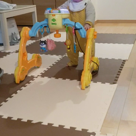 よちよち。の画像