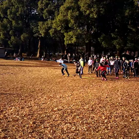 ダッシュ⑥の画像