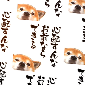 札幌！真面目な話し！の画像