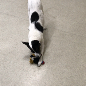 ♪プレイルーム動画♪①の画像