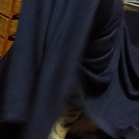 不思議な生き物(;゜∇゜)の画像