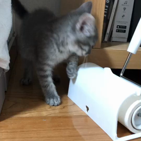 おまるが家に来た日の画像