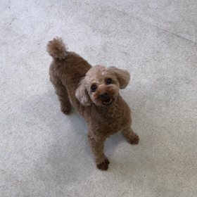 ♪プレイルーム動画♪の画像