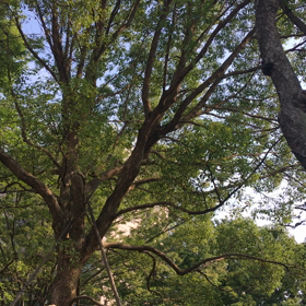 3連休 疲れましたの画像