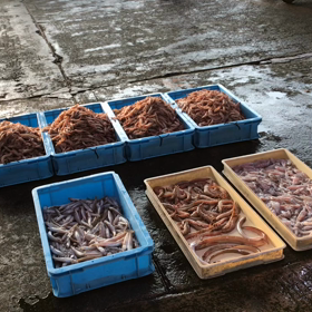 豊浜朝市の様子！全体的に少なめだが鰆は豊漁！の画像