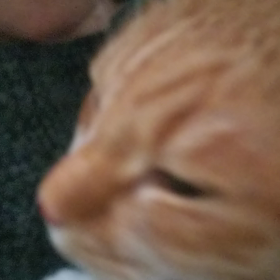 夜勤明けの日のお約束の画像