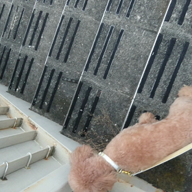 【日の出が遅くなりまして】の画像