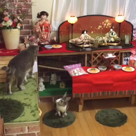 楽しいひな祭り♡の  画像