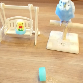 お友達と休憩中に…❤️の画像