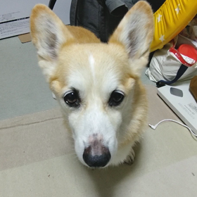 今日の１動画の画像