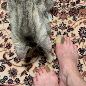 これは何かニャ～の画像