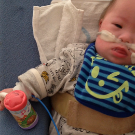 今日のつばちゃんの画像