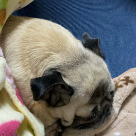 幸凪という名前の画像