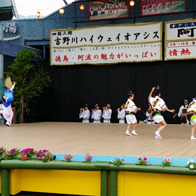 阿波おどり 6/14 若阿友連さんの画像