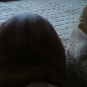 行ったり来たりの画像