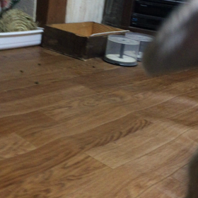 ゴロゴロしてた一日の画像