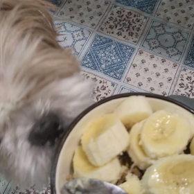 レアなそらの鳴き声の画像