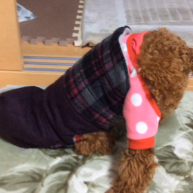 重ね着すると...の画像