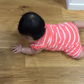 ゴキブリはいませんよの画像