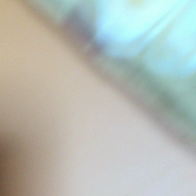 ランのオモチャ❓の画像