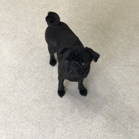 ♪プレイルーム動画♪②の画像