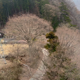 電車からのホテルの画像