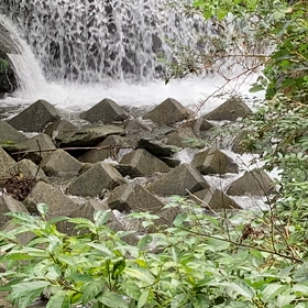 神聖な場所の画像